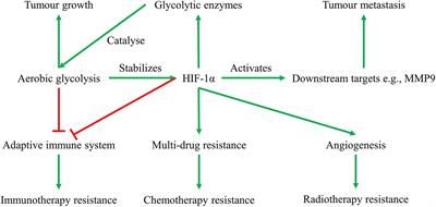 Tumor Hypoxia Drives Genomic Instability